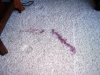 wine-spill-regan-2