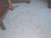 wine-spill-regan-4